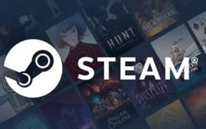 Steam